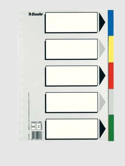 Esselte 613 Confezione da 5 divisori in plastica - 5 linguette / 5 colori - Multiforo - Formato Folio