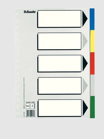 Esselte 613 Confezione da 5 divisori in plastica - 5 linguette / 5 colori - Multiforo - Formato Folio