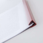 Apli Confezione da 5 raccoglitori a scorrimento 10x297 mm - Capacità 100 fogli - Con copertina trasparente - Fessura per un facile inserimento dei fogli - Colori assortiti - immagine 2