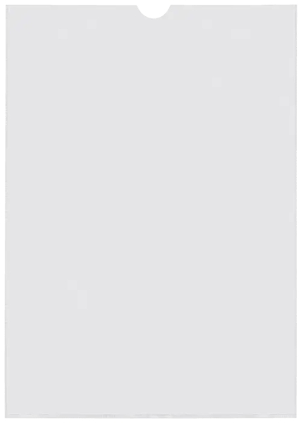 Esselte Confezione da 100 porta tesserini formato A4 232x305 mm 185Q 140 micron - PVC trasparente finitura liscia
