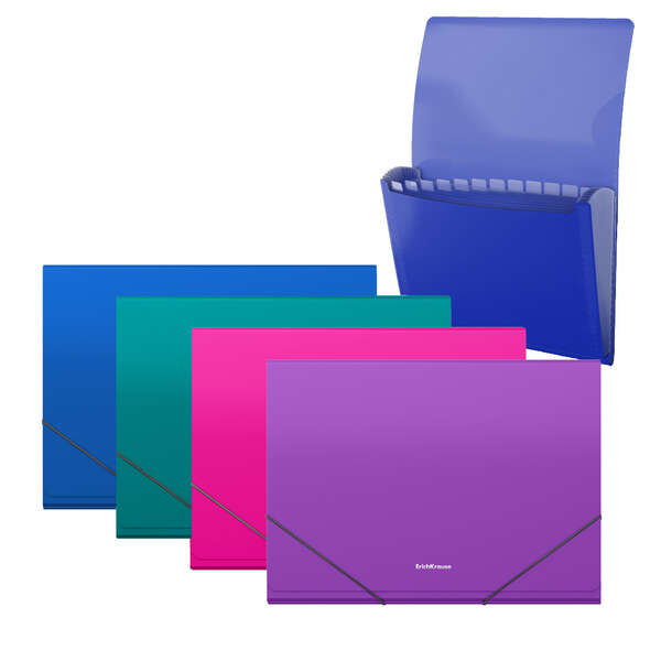 Erichkrause Matt Vivid Cartellina/Raccoglitore con 12 buste A4 - Finitura opaca - Colori assortiti
