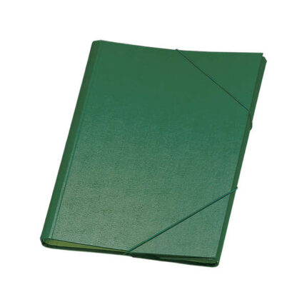Dohe Raccoglitore a 12 scomparti - Formato Folio - Cartone plastificato - Chiusura con elastici - Colore verde