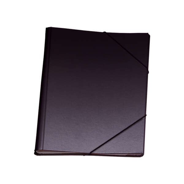 Dohe Raccoglitore a 12 scomparti - Formato Folio - Cartone plastificato - Chiusura con elastici - Colore nero