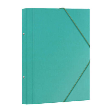 Dohe Raccoglitore a 12 scomparti - Formato Folio - Cartone plastificato - Chiusura con elastici - Colore verde chiaro