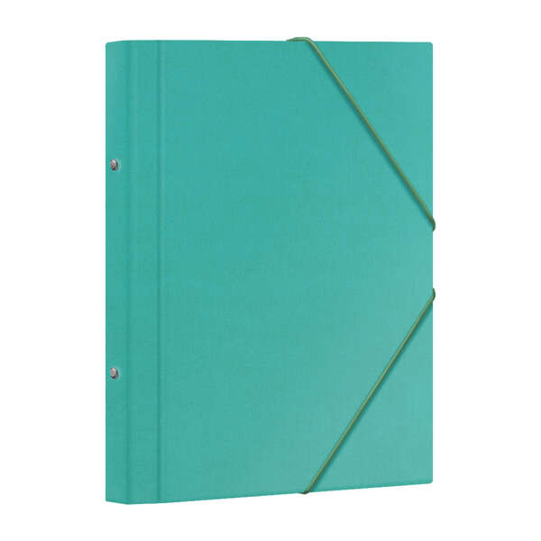 Dohe Raccoglitore a 12 scomparti - Formato Folio - Cartone plastificato - Chiusura con elastici - Colore verde chiaro
