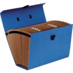 Fellowes Bankers Box Cartella classificatrice a fisarmonica - 19 scomparti organizzativi - Struttura plastificata - Chiusura di sicurezza a scatto - Include foglio con etichette - immagine 2