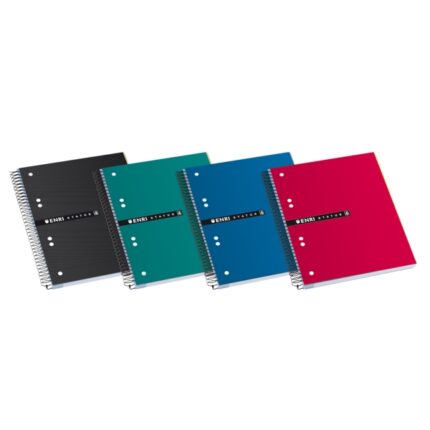 Enri Status A5+ Europeanbook - Copertina extra resistente - Formato A5+ - Quaderno con 120 fogli - Quadretti 5x5 - Colori assortiti