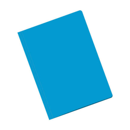 Dohe Cartelline in cartoncino da 180 g - con fessura per fastener - Ideali per organizzare i documenti - Resistenti e durevoli