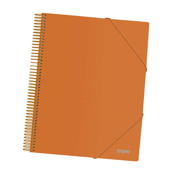 Dohe Raccoglitore con 40 buste formato A4 - Copertina in polipropilene opaco da 800 micron - Buste trasparenti da 80 micron - Spirale in plastica colorata - Elastici in tinta
