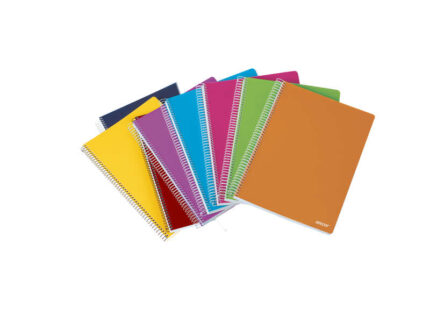 Ancor Classic Stripes Quaderno a spirale formato Folio a righe orizzontali - 80 fogli 90 g - Copertina in plastica - Colori assortiti