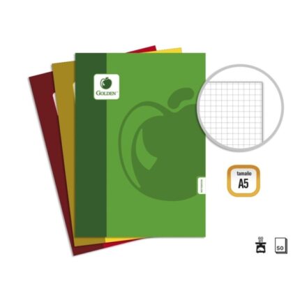 Golden Basic Confezione da 10 quaderni cuciti A5 50 fogli 60 g quadretti - Colori assortiti
