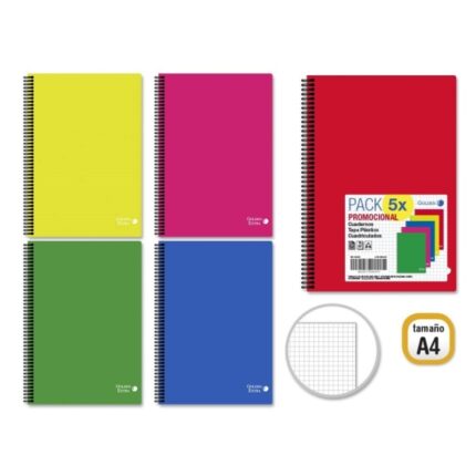 Golden Basic Confezione da 5 quaderni A4 80 fogli 90 g/m² a quadretti 4x4 - Ideale per studenti - Copertina in polipropilene - Colori assortiti