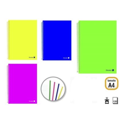 Golden Pack da 4 quaderni A4 120 fogli 90 g/m² a quadretti 5x5 - Fogli microperforati con striscia colorata e 4 fori - Copertina in polipropilene - Colori assortiti