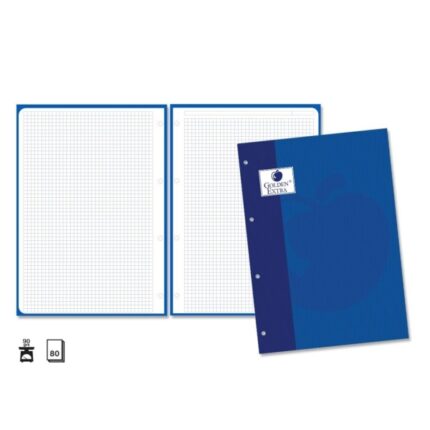 Golden Extra Ricarica da 80 fogli 90 g Griglia 4x4 - Formato A4 - 4 fori e striscia blu