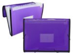 Ingraf Espositore con 10 cartelline Frame a soffietto 13 scomparti formato A4 - Polipropilene traslucido - Chiusura con elastici - Colori assortiti - immagine 2