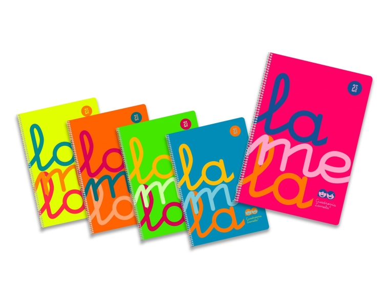 Lamela Confezione da 5 quaderni a spirale con 80 fogli da 90 g/m² con margine - Formato Folio - Righe a quadratini da 2