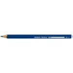 Alpino Junior Trimax Confezione da 12 matite di grafite HB triangolari jumbo - Corpo spesso 10 mm - Spazio per il nome - immagine 2