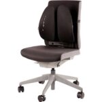 Fellowes Back Angel Respaldo Ergonomico Moldeable - Ajustable en 7 Alturas - Adaptable a la Mayoria de Sillas - Color Negro - immagine 2