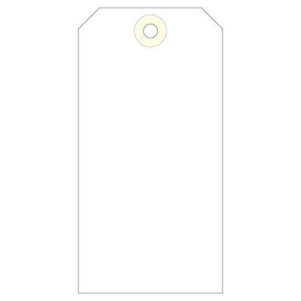 Apli Etiquetas con Arandela 125 x 63mm 1.000 U.