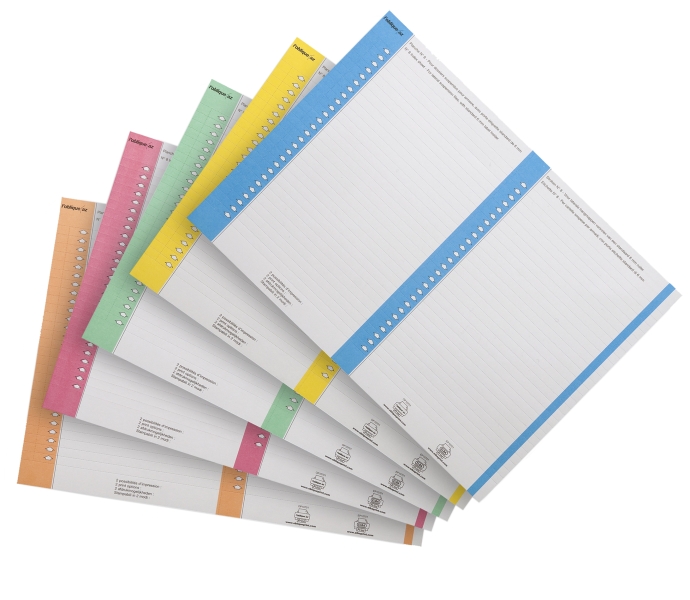 Elba Bristol Pack de 10 Hojas A5 por 27 Etiquetas para Visores Laterales Carpeta Colgante Nº 8 14.4x06mm - Resistente Material Bristol - Tamaño Adecuado para Carpeta Colgante - Con Borde de Color