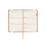 Finocam Flexi Lisa Agenda en Catalan - Anual 2026 - Tapa Blanda - Formato F2 - 85x13x130mm - Semana Vista Horizontal - Color Azul - immagine 4