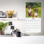Finocam Calendario de Pared Internacional - Anual 2026 - Imagenes Variadas - 311x5x305mm - Tematica de Perros - immagine 2