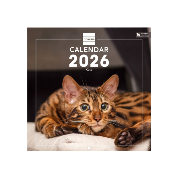 Finocam Calendario de Pared Internacional - Anual 2026 - Imagenes Variadas - 311x5x305mm - Tematica de Gatos
