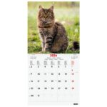 Finocam Calendario de Pared Internacional - Anual 2026 - Imagenes Variadas - 311x5x305mm - Tematica de Gatos - immagine 3