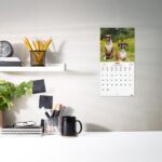 Finocam Calendario de Pared Internacional - Anual 2026 - Imagenes Variadas - 191x5x185mm - Tematica de Perros - immagine 2