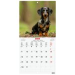 Finocam Calendario de Pared Internacional - Anual 2026 - Imagenes Variadas - 191x5x185mm - Tematica de Perros - immagine 3