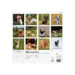Finocam Calendario de Pared Internacional - Anual 2026 - Imagenes Variadas - 191x5x185mm - Tematica de Perros - immagine 4