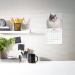 Finocam Calendario de Pared Internacional - Anual 2026 - Imagenes Variadas - 191x5x185mm - Tematica de Gatos - immagine 2