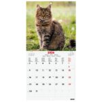 Finocam Calendario de Pared Internacional - Anual 2026 - Imagenes Variadas - 191x5x185mm - Tematica de Gatos - immagine 3