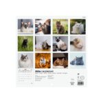 Finocam Calendario de Pared Internacional - Anual 2026 - Imagenes Variadas - 191x5x185mm - Tematica de Gatos - immagine 4