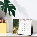 Finocam Calendario de Sobremesa Internacional - Anual 2026 - Imagenes Variadas - 210x70x155mm - Tematica de Perros - immagine 2