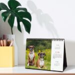 Finocam Calendario de Sobremesa Internacional - Anual 2026 - Imagenes Variadas - 210x70x155mm - Tematica de Perros - immagine 3