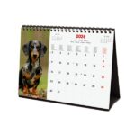 Finocam Calendario de Sobremesa Internacional - Anual 2026 - Imagenes Variadas - 210x70x155mm - Tematica de Perros - immagine 4