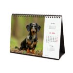 Finocam Calendario de Sobremesa Internacional - Anual 2026 - Imagenes Variadas - 210x70x155mm - Tematica de Perros - immagine 5