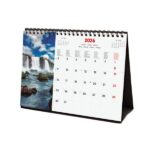 Finocam Calendario de Sobremesa Internacional - Anual 2026 - Imagenes Variadas - 210x70x155mm - Tematica de Naturaleza - immagine 4