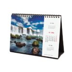 Finocam Calendario de Sobremesa Internacional - Anual 2026 - Imagenes Variadas - 210x70x155mm - Tematica de Naturaleza - immagine 5