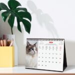 Finocam Calendario de Sobremesa Internacional - Anual 2026 - Imagenes Variadas - 210x70x155mm - Tematica de Gatos - immagine 2