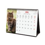 Finocam Calendario de Sobremesa Internacional - Anual 2026 - Imagenes Variadas - 210x70x155mm - Tematica de Gatos - immagine 4