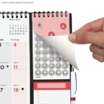 Finocam Calendario de Pared - Anual 2026 - Anilla Portaboligrafo - 300x11x335mm - Espacio para Escribir - Color Blanco y Rojo - immagine 4