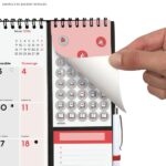 Finocam Calendario de Pared en Catalan - Anual 2026 - Anilla Portaboligrafo - 300x11x335mm - Espacio para Escribir - Color Blanco y Rojo - immagine 4