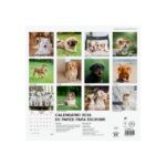 Finocam Calendario de Pared - Anual 2026 - Imagenes Variadas - 300x300mm - Espacio para Escribir - Tematica de Cachorros - immagine 4