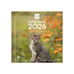 Finocam Calendario de Pared - Anual 2026 - Imagenes Variadas - 300x300mm - Espacio para Escribir - Tematica de Gatos