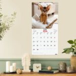 Finocam Calendario de Pared - Anual 2026 - Imagenes Variadas - 300x300mm - Espacio para Escribir - Tematica de Gatos - immagine 2