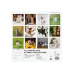 Finocam Calendario de Pared - Anual 2026 - Imagenes Variadas - 300x300mm - Espacio para Escribir - Tematica de Gatos - immagine 4