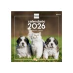 Finocam Calendario de Pared - Anual 2026 - Imagenes Variadas - 300x300mm - Espacio para Escribir - Tematica de Perros y Gatos