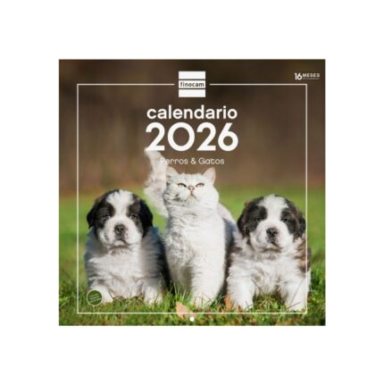 Finocam Calendario de Pared - Anual 2026 - Imagenes Variadas - 300x300mm - Espacio para Escribir - Tematica de Perros y Gatos